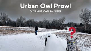 Colorado Urban Owl Prowl  One Last Surprise of 2023 [upl. by Berkeley310]