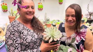 Junto a mi hermana Lidia Morán y su bello jardín Que hermosa la naturaleza de nuestro Señor🌲🌸🌺 [upl. by Galatea]