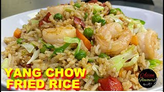 How to Cook Yang Chow Fried Rice  Easy Yang Chow Fried Rice Recipe [upl. by Camden]