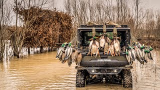 DUCK HUNTING FLOODED WILLOWS IN ARKANSAS Mallards Gadwall Wigeon amp Teal from Epic Duck Blind [upl. by Underwood103]