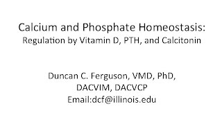 Calcium Physiology Regulation by Vitamin D PTH and Calcitonin [upl. by Catherine]