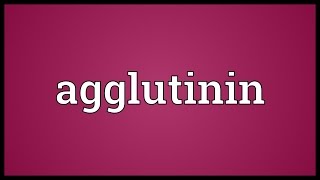 Agglutinin Meaning [upl. by Sou]