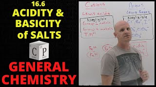 166 Acidity and Basicity of Salts  General Chemistry [upl. by Enyallij779]