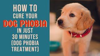 NEHA FATEHCHANDANI  DOG PHOBIA CURETREATMENT USING NLP BY MOHAMMED RAFI [upl. by Oberheim546]