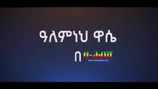 Alemneh Wase BeZehabesha  አለምነህ ዋሴ በዘሐበሻ  ተነስተውብናል [upl. by Eidson657]