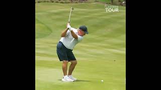 Ian Woosnam Golf Swing [upl. by Auohp]