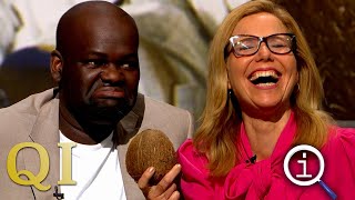 QI Series 19 Random  With Bill Bailey Daliso Chaponda amp Sally Phillips [upl. by Cychosz476]