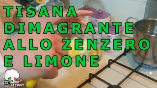 TISANA ZENZERO E LIMONE attiva il metabolismo e fa dimagrire e ti protegge nelle mezze stagioni [upl. by Indnahc]