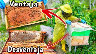 🤔¿Utilizar colmenas de doble cámara de cría  Pros y contras 🐝 [upl. by Godden922]