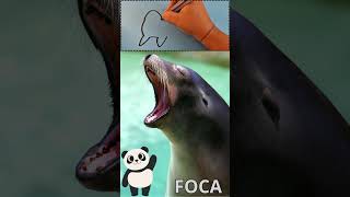 Conosci la Foca tante curiosità con Pandino shorts animali bambini artico [upl. by Oiramel34]