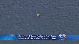 Unexploded Ordnance Floating In Puget Sound [upl. by Northway]