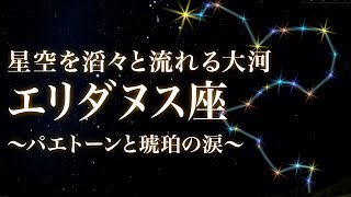 Legend Will Begin（高音質）JRA特別競走（関西）本馬場入場曲 [upl. by Gardie]