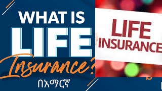 What is life insurance   የሂወት መድህን ምን ማለት ነው   Chapter five part one [upl. by Cobbie]