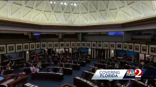 Florida Legislatures special session starts Monday [upl. by Nelan818]