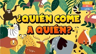 🙊QUÉ ES LA CADENA ALIMENTICIA y CÓMO FUNCIONA🦄  Explicación SENCILLA 🤓VideoS EducativoS [upl. by Akkinahs]