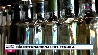 Día Internacional del Tequila  Noticias GDL con Fabiola Anaya [upl. by Ynnattirb]