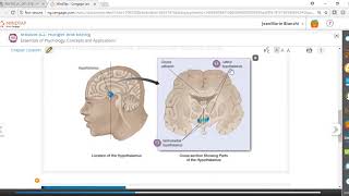 The Hypothalamus amp Hunger [upl. by Aristotle]