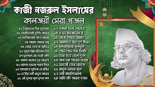 হৃদয় স্পর্শী ইসলামীক নজরুল সংগীত  কাজী নজরুল ইসলামের সেরা ২৫টি গজল  Best of Kazi Nazrul Islam [upl. by Therine]