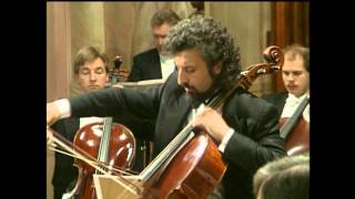 Mischa Maisky  Haydn  Violin Concerto No 4 in G major [upl. by Mallin]