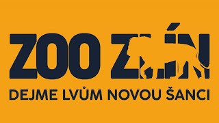 Zoo Zlín rozbíhá projekt Dejme lvům novou šanci [upl. by Amej]