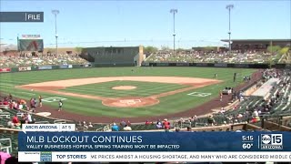 MLB lockout puts start of Spring Training in grave danger [upl. by Juliana589]