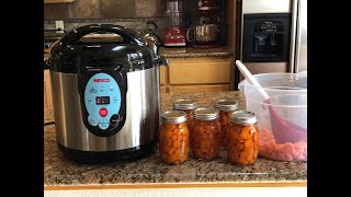 Pressure Canning Carrots Step by Step [upl. by Srednas]