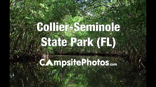 CollierSeminole State Park Florida Campsite Photos [upl. by Eninnej389]