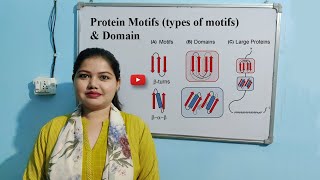 Protein Motifs amp Domains  Types of Motifs [upl. by Supmart]