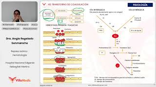 Fundamentos Teóricos I ANEMIAS  HEMATOLOGIA QX MEDIC 2022 [upl. by Neerom]