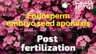 Endosperm  Embryo  Seed  Apomixis and polyembryony  class 12  In Hindi  Be Educated [upl. by Gard]