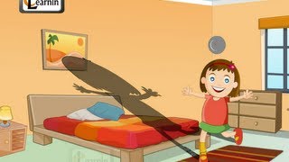 Shadow  Elementary Science Video for Grade 24 Kids [upl. by Philbo]