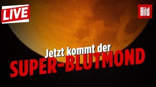 Der komplette Livestream Blutmond  Totale Mondfinsternis [upl. by Enelyak]