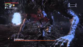 Bloodborne  Glitch in Bloodletting Beast battle [upl. by Mcwherter150]