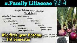 Family Liliaceae in hindi  BSc 2nd year Botany third Semester [upl. by Uund831]