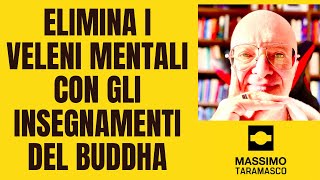 ELIMINA I VELENI MENTALI E I DIFETTI DELLA MENTE CON GLI INSEGNAMENTI DEL BUDDHA [upl. by Melnick853]