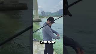 ¡Pesca Urbana Pescador en los Pilares del Puente 🎣🌉 shorts [upl. by Aij122]