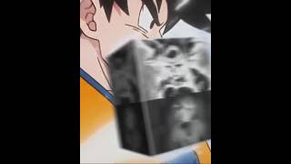 wis shake pack  Goku Black vs mui goku 🔥🔥 [upl. by Lara]