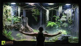 I Built a Giant Cloud Rainforest Vivarium [upl. by Simons]