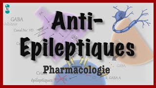 Les Antiépileptiques dans lEpilepsie  Pharmacologie [upl. by Dlaregztif]