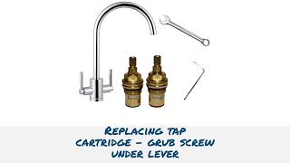 Easily Replace a cartridge valve in a kitchen mixer monobloc tap with lever handles tapmagician [upl. by Jori138]