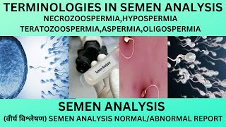 TERMINOLOGIES USED IN SEMEN ANALYSISOLIGOSPERMIAAZOOSPERMIAASPERMIANECROSPERMIATERATOZOOSPERMIA [upl. by Enitsyrk]