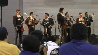 Mariachi Los Camperos  Tucson 2010  Aca Entre Nos  Track 13 [upl. by Hgielsa964]