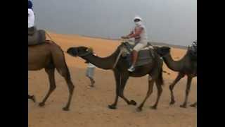 DESERTO DEL MAROCCO VIAGGIO CON CAMMELLI [upl. by Oah]