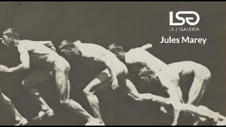 Jules Marey  2 minutos de arte [upl. by Aivart468]