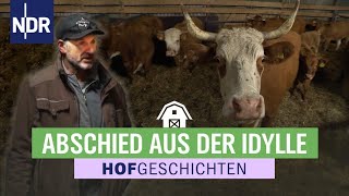 Rinder wollen nicht ihren Hof verlassen  Hofgeschichten Leben auf dem Land 257  NDR [upl. by Lorne]