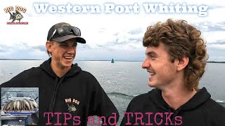 Westernport Whiting Tips amp Tricks  Good Friday dinner sorted [upl. by Urdna]