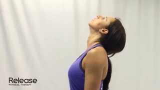 Cervical Spine Retraction amp Extension  McKenzie Exercise for Neck [upl. by Milinda]