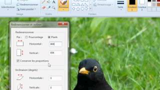 Redimensionner une image sur Windows 7 [upl. by Alex450]