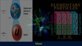 Gluons  Standard Model Of Particle Physics [upl. by Nwhas]