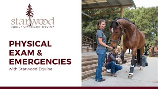 Equine Physical Exam and Emergencies  Horsey Hour with Starwood Equine [upl. by Reffinnej948]